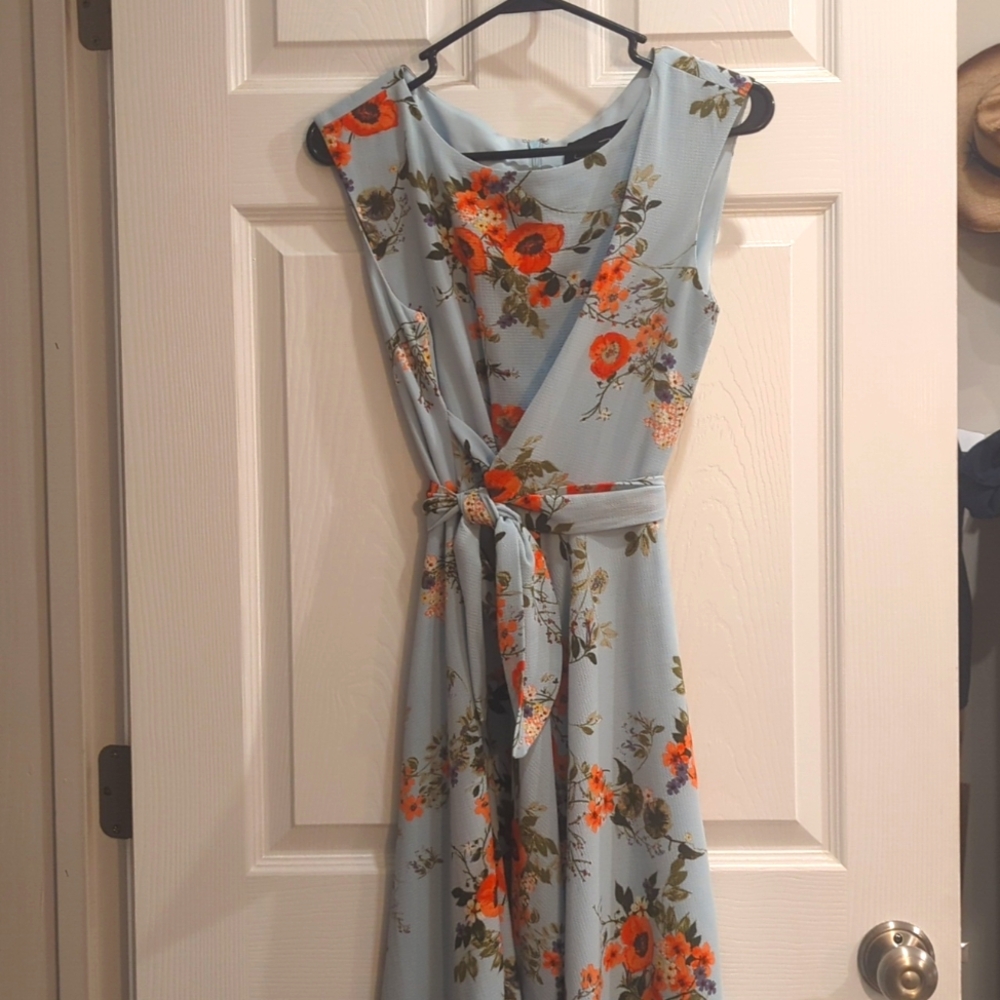 Chelsea Rose || Size 6 || Wildflower Dress, Pale Blue || Vintage Spring Style